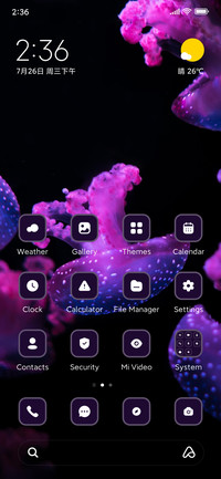 Jellyfish