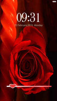  IN Rose of love!