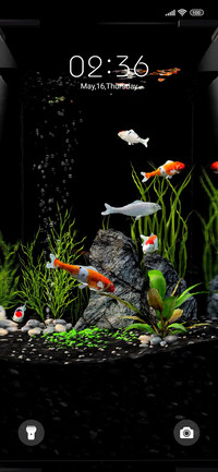 Aquarium