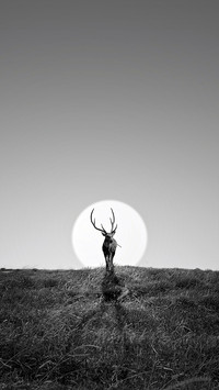 Man and Nature