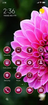 flowers dahlia
