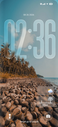 Palm