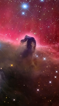 Stars in the night sky