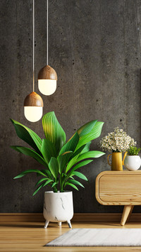 New house green plant guide