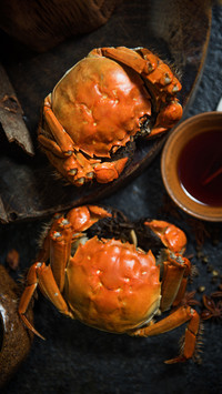 Guidelines for crab season 43