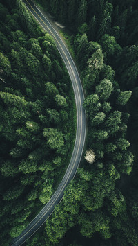 Mercedes Benz in the most beautiful Forrest Highway 6