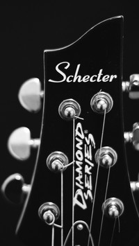Guitar (8)