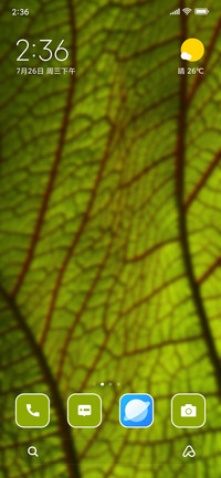 Pattern Leaf