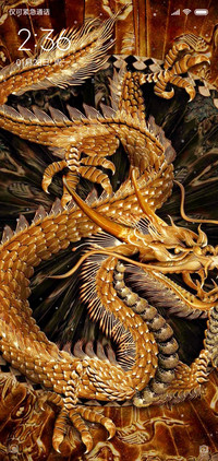 中国龙