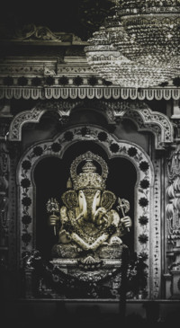 Vibe of India  (36)