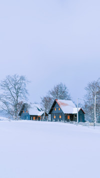 Wooden cottages in a snowy mountain valley