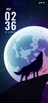 Fox Night
