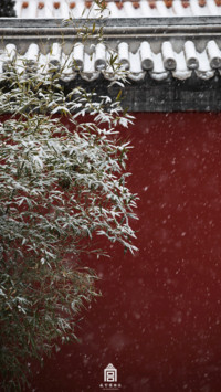 雪落故宫