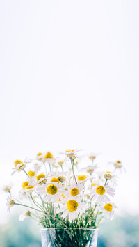 bouquet (3)