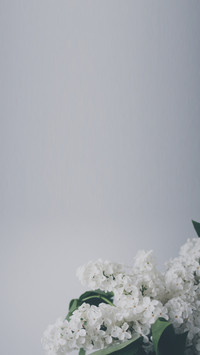 bouquet (8)
