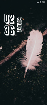 Feather