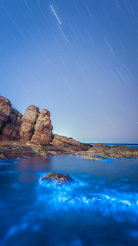 Fluorescent beach