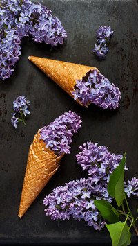 Collection and Appreciation of Ancient Poems of Lilac Flower