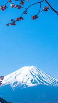 Fuji