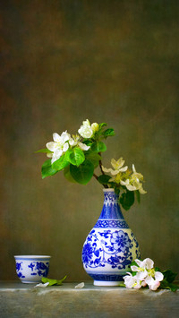 Blooming apple branch