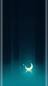 夜の海豚