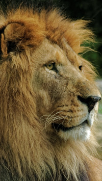 112319_1440x2560.jpg