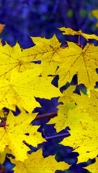 112208_1440x2560.jpg