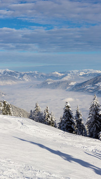 Winter sports-03
