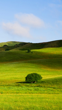 Mongolian grasslands