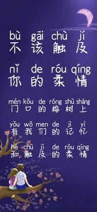 不该触及你的柔情