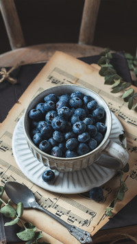 Benefits of Blueberries for the Body 7