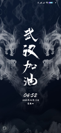 百毒不侵 武汉加油