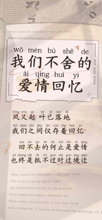 我们不舍的爱情回忆
