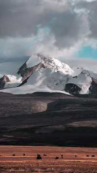 VCG211248224179