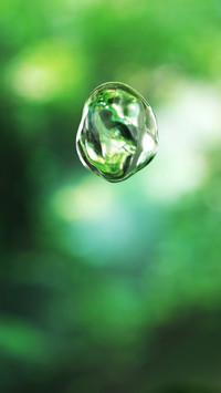 Water droplets fall into a secret realm in the forest