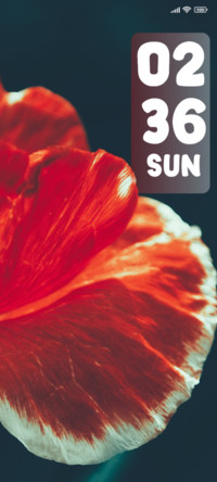 Petals