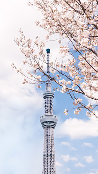 亚洲最高建筑