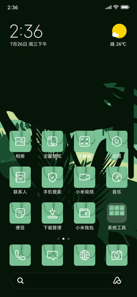 Jungle_3MDS
