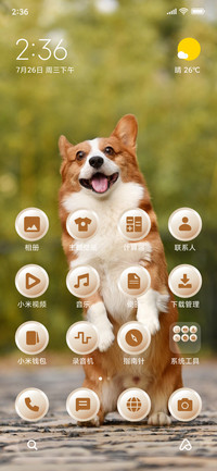 Puppy_3MDS