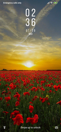 Poppy Field_3MDS