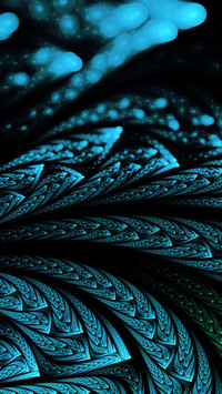 Luminous peacock feathers