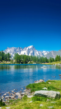 Summer in the Alps