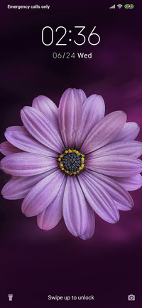 Pretty flower_3MDS