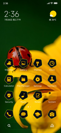 sunflower bug