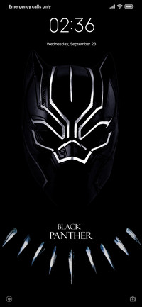 Panther_DWM20