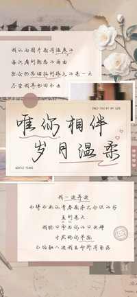 唯你相伴岁月温柔