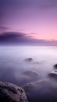 The fog
