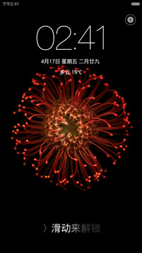 iPhone Plus