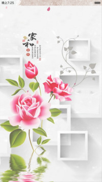 家和富贵（3D花瓣动态+全图标）