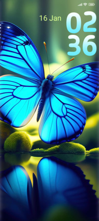 colorful butterfly